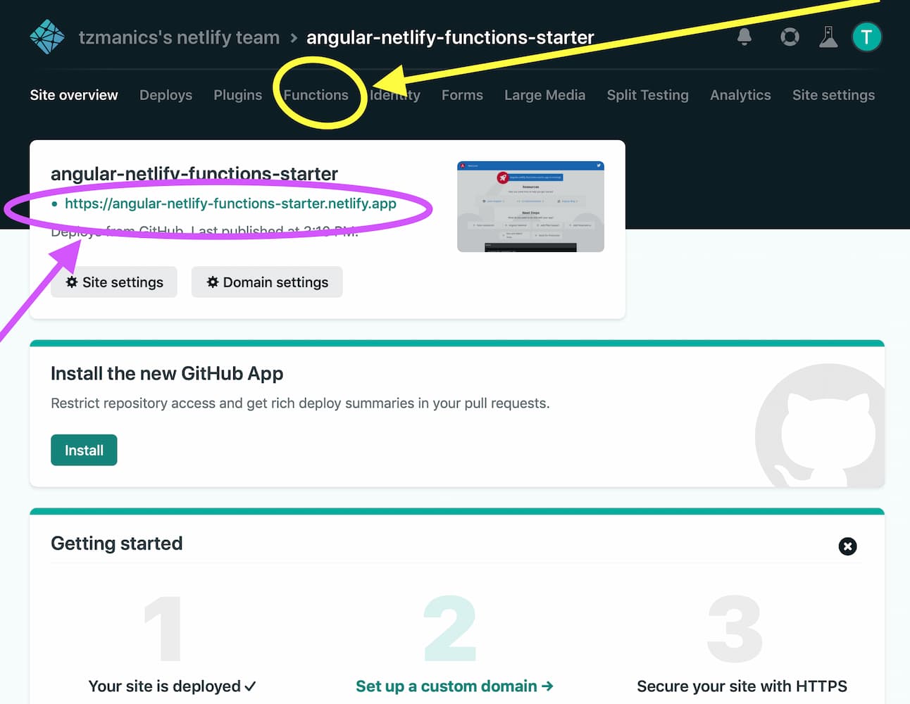 project's Netlify dashboard