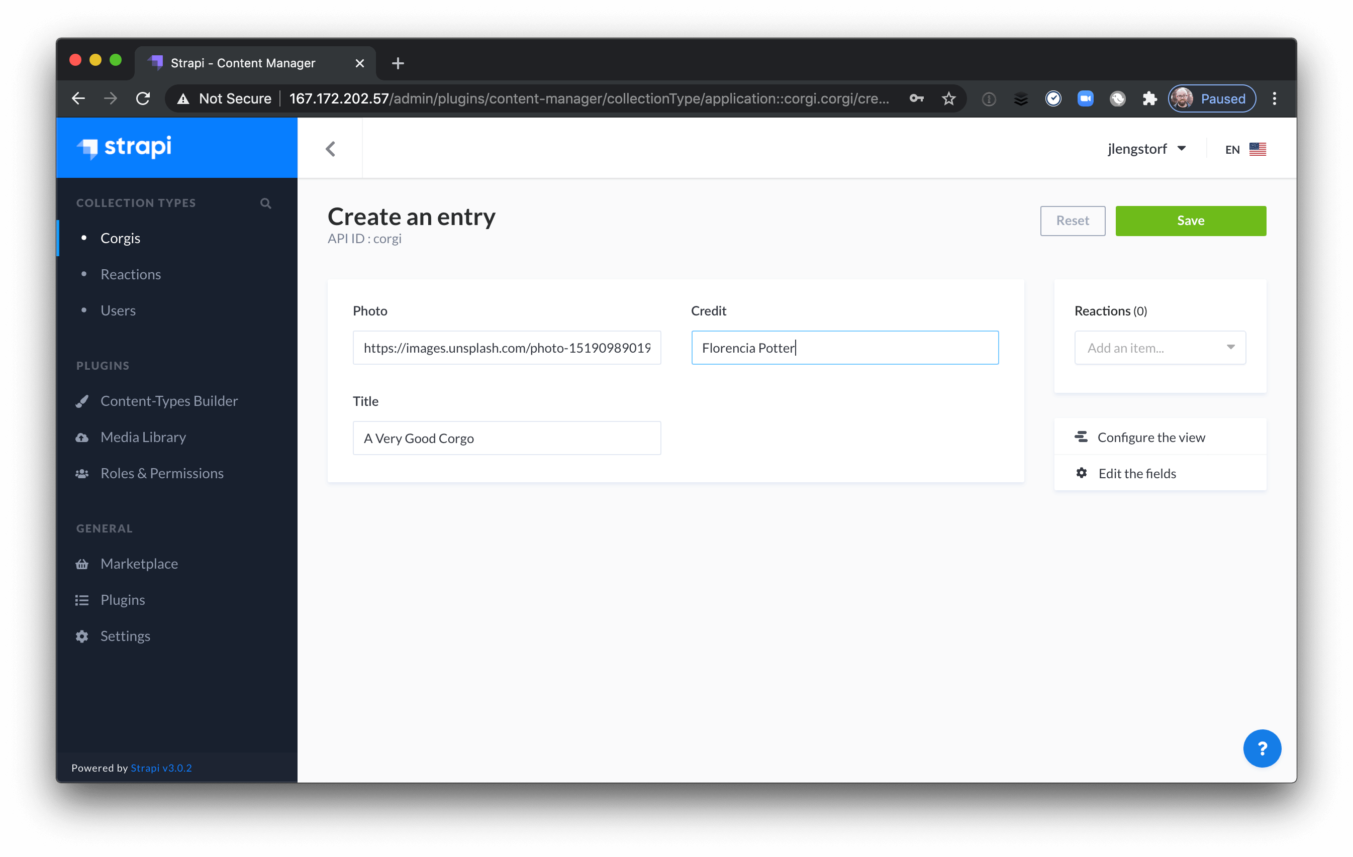 Entry creation form for the corgi type in the Strapi admin UI.